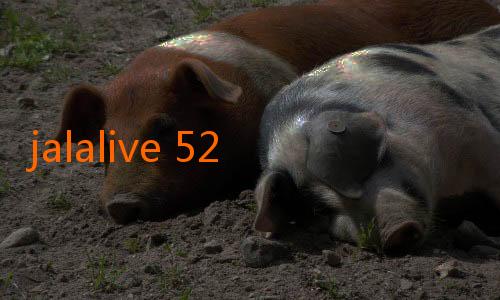 jalalive 52-Menyelami Dunia Jalalive 22: Keunikan dan Pesona yang Menggoda