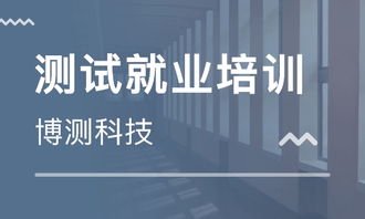 石家莊計(jì)算機(jī)軟件開(kāi)發(fā)課程