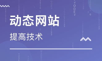 天津網站建站培訓 天津動態(tài)網站后臺開發(fā)班 天津先鋒科教職業(yè)培訓學校
