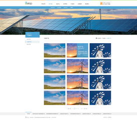 天津網站開發(fā) 能源化工官網