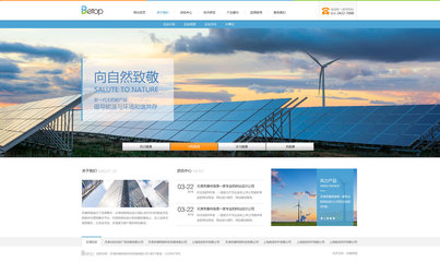 天津網(wǎng)站開發(fā)